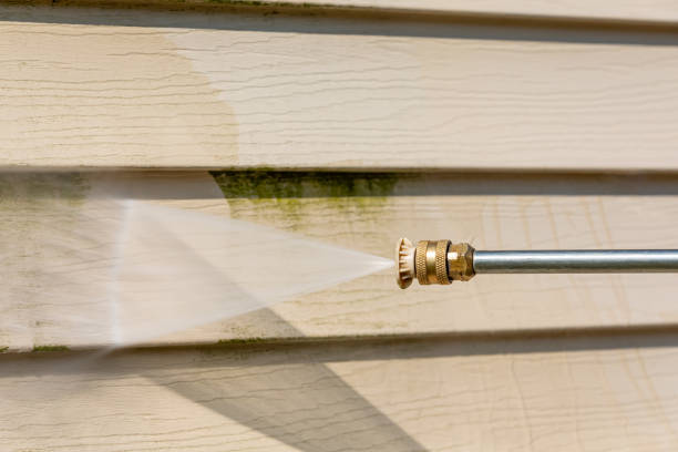 Professional Pressure Washing in Cherry Valley, IL